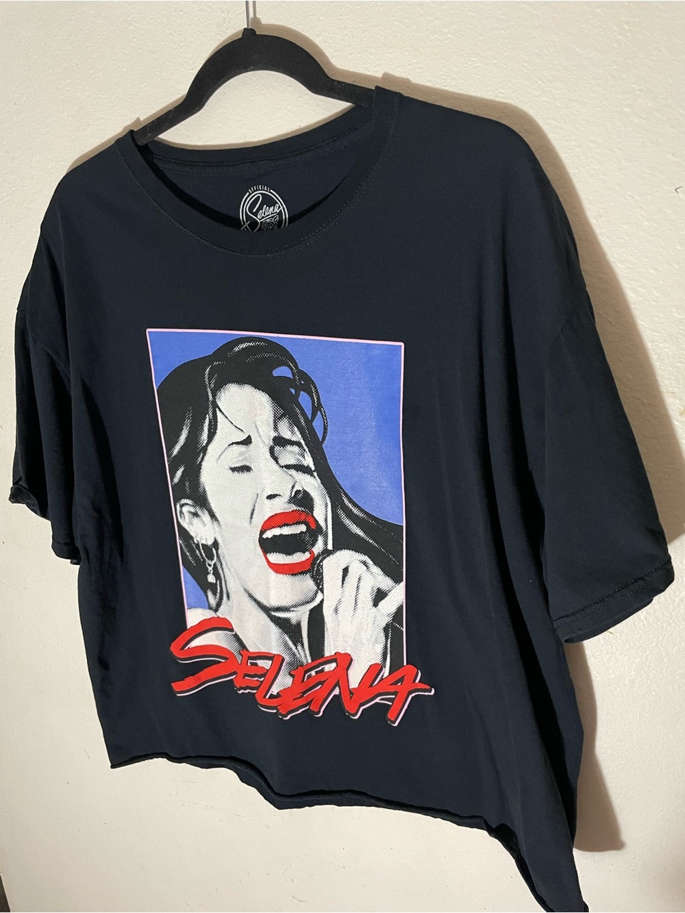 Hot Topic Black Crop Top with Blue Panel and Red Graphic
